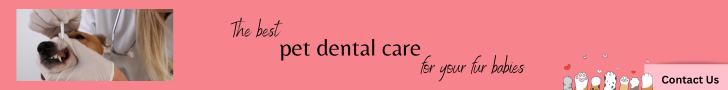 pet dental care
